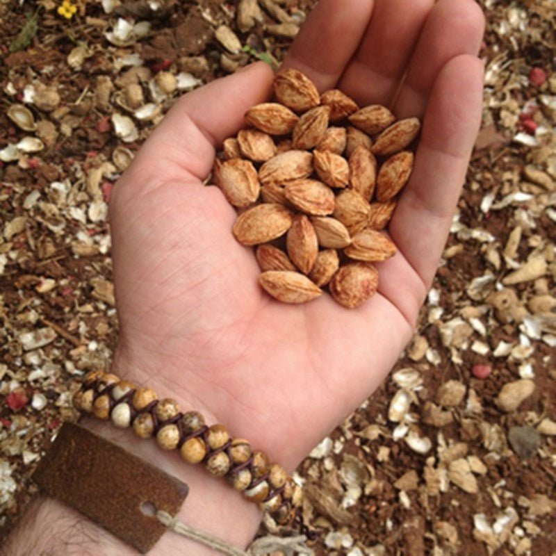 🌟 Woven Natural Stone Bracelet — Earth's Embrace, Handcrafted Harmony 🌟 - RukaCraft